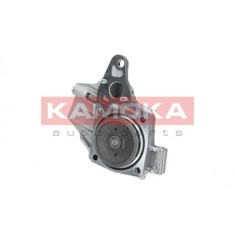 Pompe à eau KAMOKA T0239