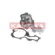 Pompe à eau KAMOKA T0240 - Visuel 2