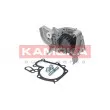 Pompe à eau KAMOKA T0243 - Visuel 1
