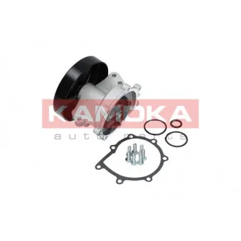 Pompe à eau KAMOKA T0247