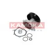 Pompe à eau KAMOKA T0247 - Visuel 2