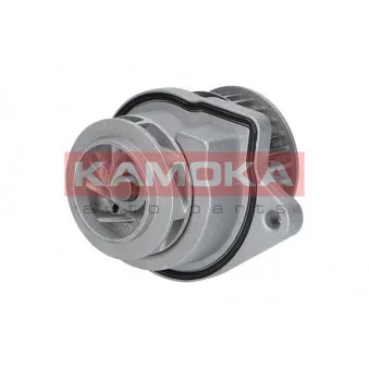 Pompe à eau KAMOKA T0248