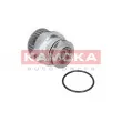 Pompe à eau KAMOKA T0249 - Visuel 1