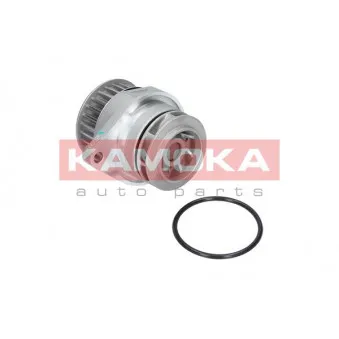 Pompe à eau KAMOKA T0249