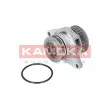 Pompe à eau KAMOKA T0249 - Visuel 2