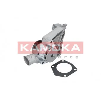 Pompe à eau KAMOKA T0250