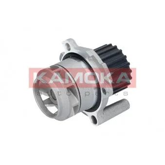Pompe à eau KAMOKA T0251