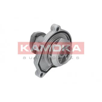 Pompe à eau KAMOKA T0252