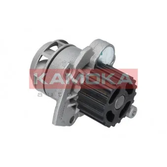 Pompe à eau KAMOKA T0253