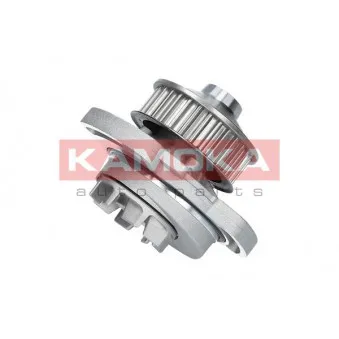 Pompe à eau KAMOKA T0254
