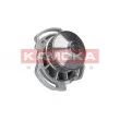 Pompe à eau KAMOKA T0254 - Visuel 2