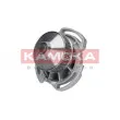 Pompe à eau KAMOKA T0254 - Visuel 3