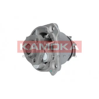 Pompe à eau KAMOKA T0256