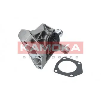 Pompe à eau KAMOKA T0257