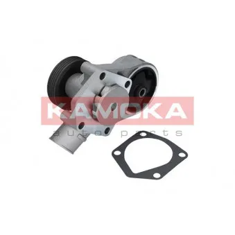 Pompe à eau KAMOKA T0258