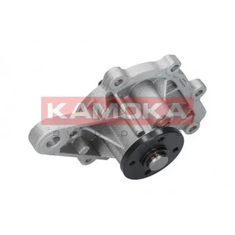 Pompe à eau KAMOKA T0259