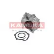 Pompe à eau KAMOKA T0260 - Visuel 1
