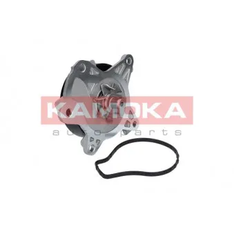 Pompe à eau KAMOKA T0262