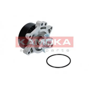 Pompe à eau KAMOKA T0263