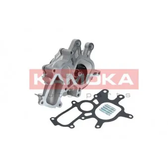 Pompe à eau KAMOKA T0267