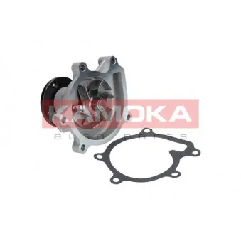 Pompe à eau KAMOKA T0269