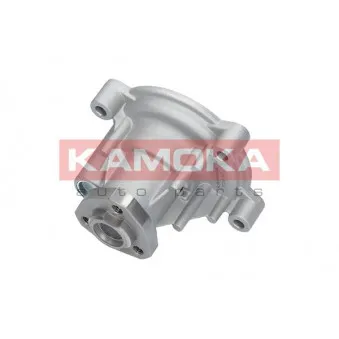 Pompe à eau KAMOKA T0272