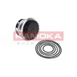 Pompe à eau KAMOKA T0273 - Visuel 1