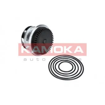 Pompe à eau KAMOKA T0273