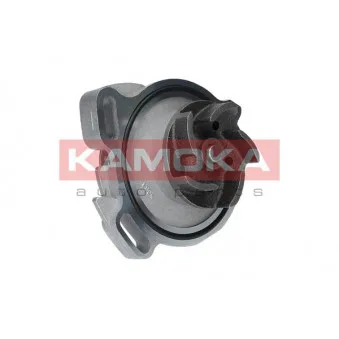 Pompe à eau KAMOKA T0275