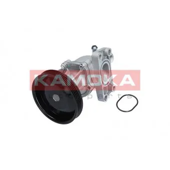 Pompe à eau KAMOKA T0276