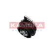 Pompe à eau KAMOKA T0278 - Visuel 1