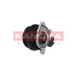Pompe à eau KAMOKA T0278 - Visuel 2