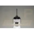 Ampoule, projecteur longue portée RAP LIGHTING RAP-D1S - Visuel 1