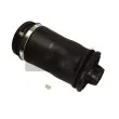 Ressort pneumatique, châssis MAXGEAR 11-0558 - Visuel 1
