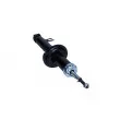 Jeu de 2 amortisseurs arrière MAXGEAR 11-0582 - Visuel 2