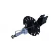 Jeu de 2 amortisseurs avant MAXGEAR 11-0645 - Visuel 2
