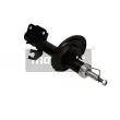 Amortisseur avant droit MAXGEAR 11-0702 - Visuel 1