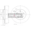 Jeu de 2 disques de frein arrière MAXGEAR 19-0816MAX - Visuel 2