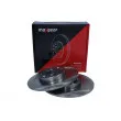 Jeu de 2 disques de frein arrière MAXGEAR 19-1171 - Visuel 3