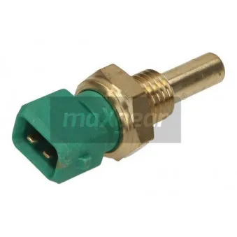 Sonde de température, liquide de refroidissement MAXGEAR 21-0248