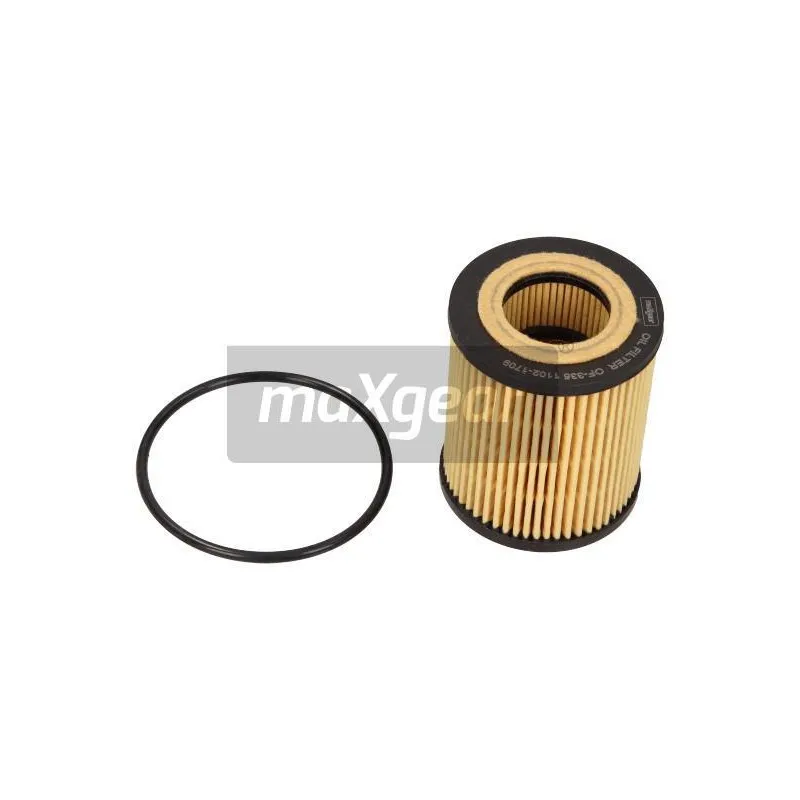Filtre à huile MAXGEAR 26-0175