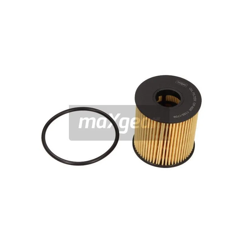 Filtre à huile MAXGEAR 26-0193