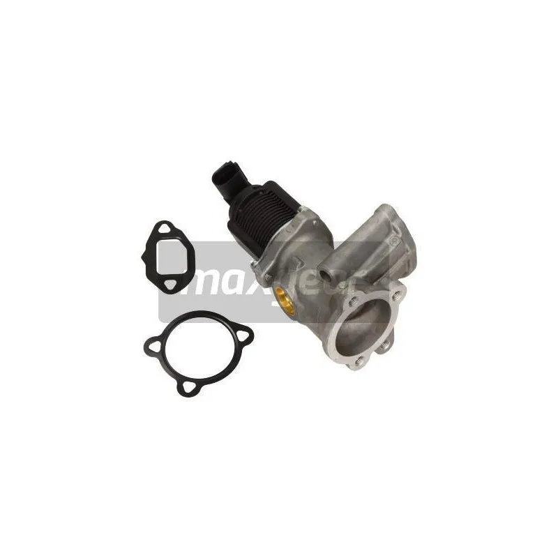 Vanne EGR MAXGEAR 27-0201