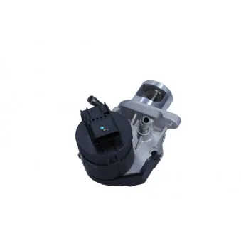 Vanne EGR MAXGEAR 27-0700