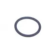 Anneau de palpeur, ABS MAXGEAR 27-0713 - Visuel 1