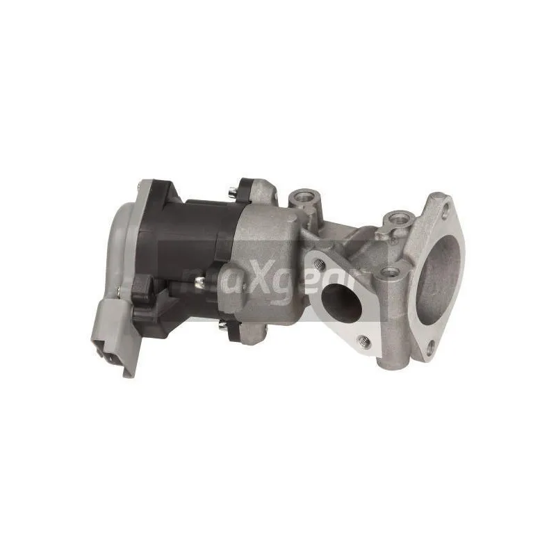 Vanne EGR MAXGEAR 27-4008