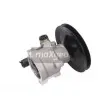 Pompe hydraulique, direction MAXGEAR 48-0031 - Visuel 1