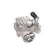 Pompe hydraulique, direction MAXGEAR 48-0081 - Visuel 1