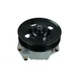 Pompe hydraulique, direction MAXGEAR 48-0160 - Visuel 1