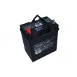 Batterie de démarrage MAXGEAR 535119030 D722 - Visuel 3